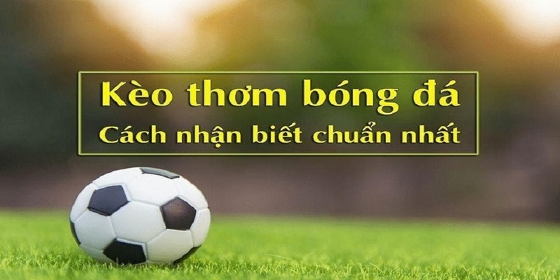 Tìm hiểu hình thức kèo thơm trong bóng đá